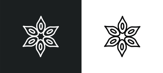 anise line icon in white and black colors. anise flat vector icon from anise collection for web, mobile apps and ui.