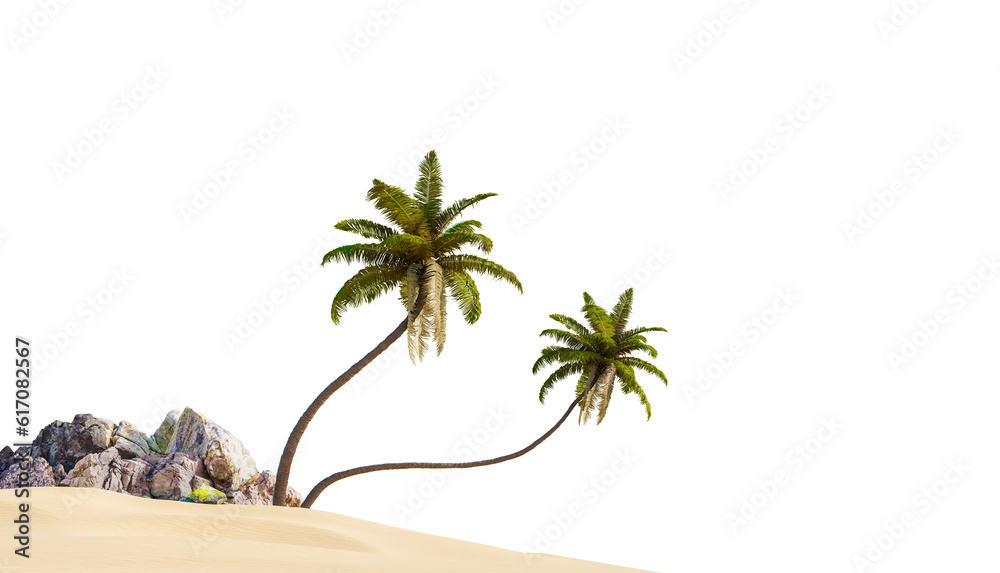 Aufkleber coconut tree in beach on white background with clipping path, 3d illustration rendering