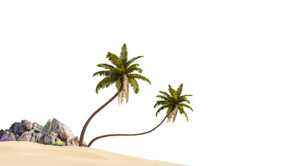 Coconut tree in beach on white background with clipping path, 3D illustration rendering - obrazy, fototapety, plakaty