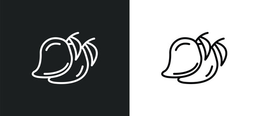 mango line icon in white and black colors. mango flat vector icon from mango collection for web, mobile apps and ui.