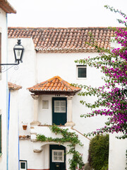 Traditional white stone house with tiled roof and various flowering bushes decorate walls