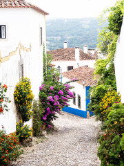Traditional white stone houses with tiled roofs and various flowering bushes decorate walls to the houses