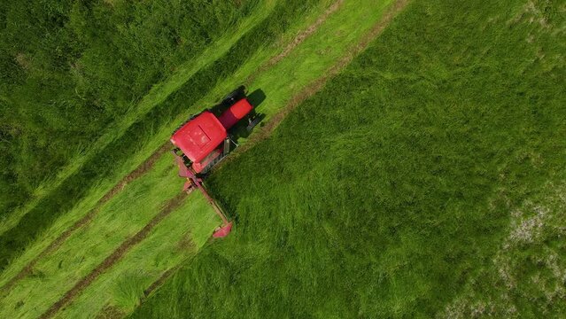 Farmer on tractor with mower mows fresh green grass for silage, livestock feed or hay. Agronomist work on agricultural field. Work in agronomic farm for making business and production organic eco bio