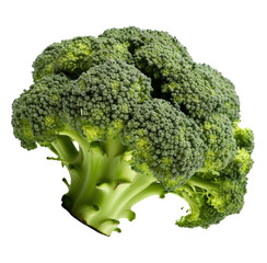 fresh and green broccoli vegetable with transparent background