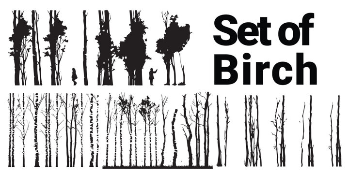 A set of silhouette birch tree vector illustration.