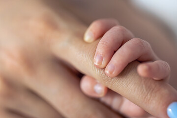 Fototapeta premium The small hand of a newborn holds the mother's finger.