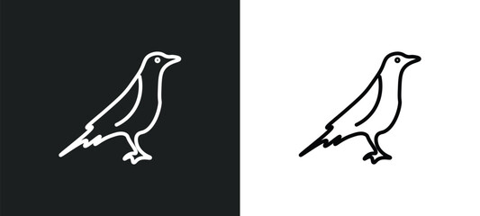 raven line icon in white and black colors. raven flat vector icon from raven collection for web, mobile apps and ui.