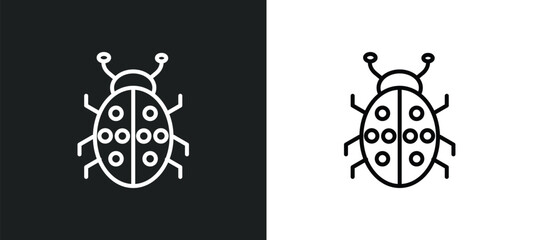 ladybird line icon in white and black colors. ladybird flat vector icon from ladybird collection for web, mobile apps and ui.