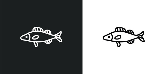 Naklejka premium zander line icon in white and black colors. zander flat vector icon from zander collection for web, mobile apps and ui.
