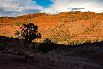 Obraz premium sunset in the desert