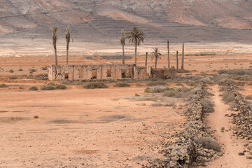 Desierto canario
