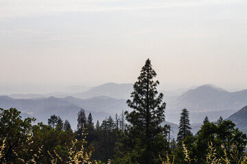sunrise in the mountains