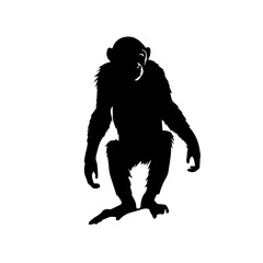 monkey silhouette illustration 