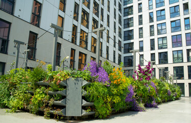 Green rooftop garden with blooming plants near a residential building. Vertical gardening, urban...
