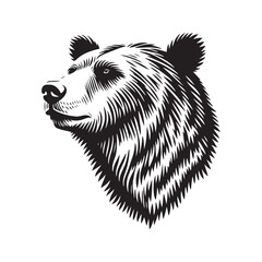 Bear head vector illustration on a white background. Vintage bear illustration