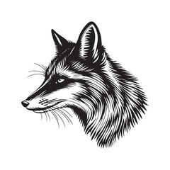 Fox head vector illustration on a white background. Vintage fox illustration
