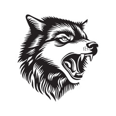 Wolf head vector illustration on a white background. Vintage tiger illustration