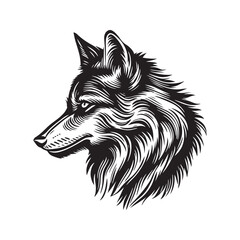 Wolf head vector illustration on a white background. Vintage tiger illustration