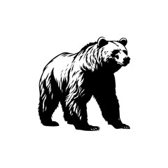 bear silhouette illustration