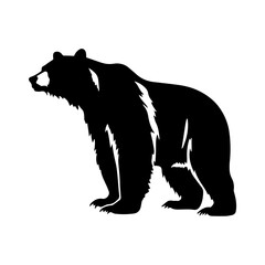 bear silhouette illustration