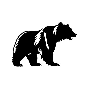 bear silhouette illustration