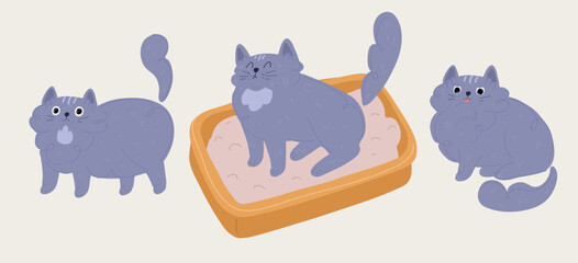 Vector illustration of cat pee in the litter box, grooming cat, lick her paw