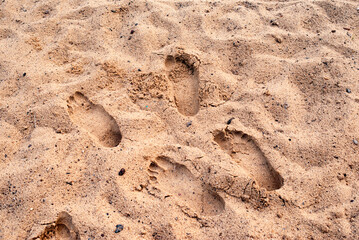 Footprints in the dirty sand on the beach.