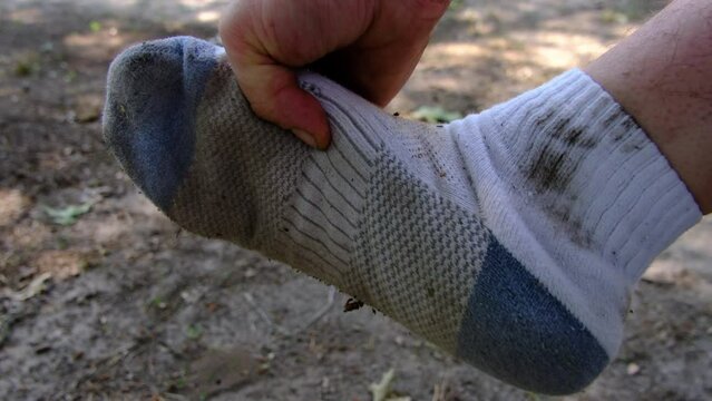Close up of foot while wearing dirty white sock and holding toes with hand checking underneath.