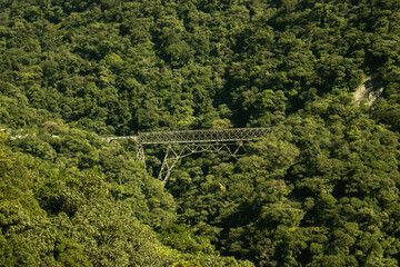 Paisagem da ferrovia de trem tur&iacute;stico entre as cidades de curitiba e morretes. 