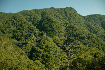 Montanhas e paisagem da serra curitibana a caminho de morretes