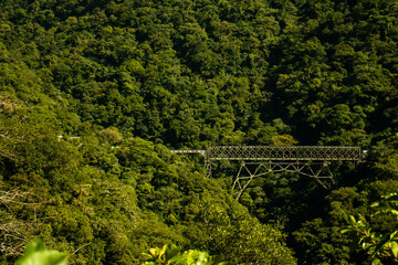 Ponte atravessando a montanha entre morretes e curitiba