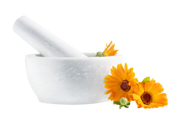 Calendula officinalis flowers in mortar isolated on white or transparent background. Marigold...