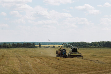 Harvester pours the crop into the tractor trailer against the background of field, forest and cloudy sky. Agriculture background. Crop. Harvest season. Copy space