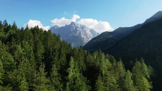 Aerial shot top view of Rocky Mountains. Sunny wether High hills on background . Green forest and valley.