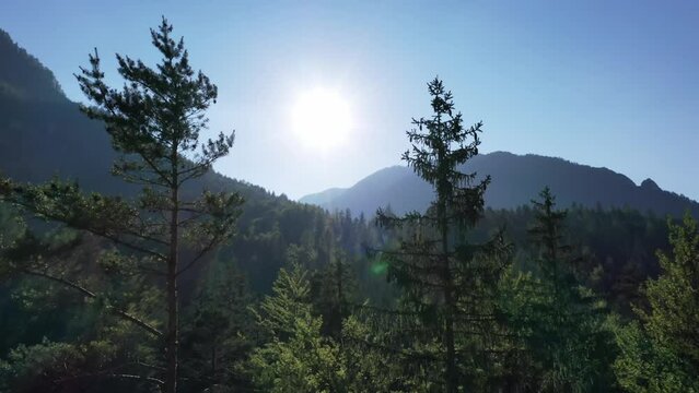 Aerial shot top view of Rocky Mountains. Sunny wether High hills on background . Green forest and valley.