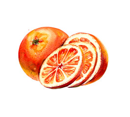 Orange fruits,  watercolor illustration. Stickers, print, pictures for alphabet blocks 