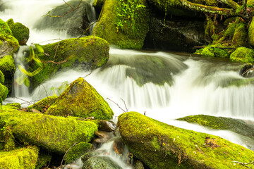 Waterfall cascading over the rocks in the Great Smoky Mountains NP, North Carolina © Moments by Patrick