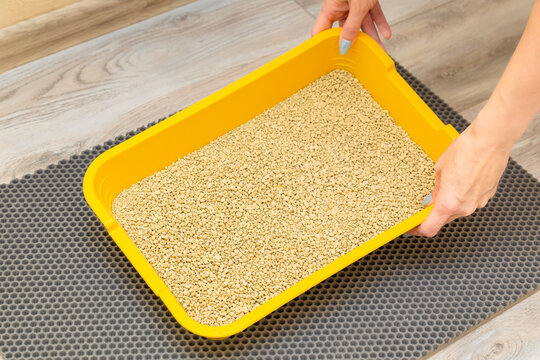 Man Changing Dry Litter In Cat Litter Box.