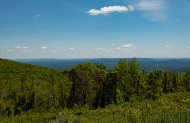 View from Skyline drive near Beagle Gap overlook in the Shenandoah NP, Virginia