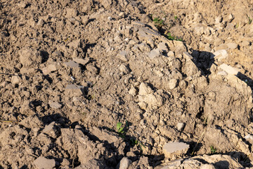 A plowed field with fertile soil for agricultural activities