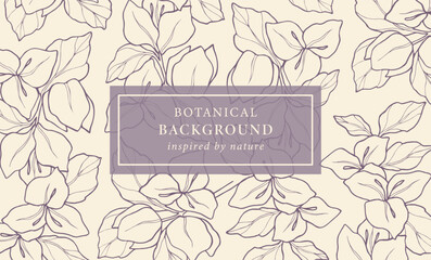 Hand drawn bougainvillea flower background