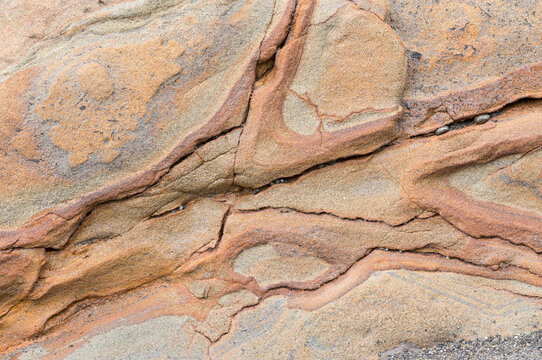 Close up of patterns in weathered sandstone at beach in Olympic National Park in Washington coast