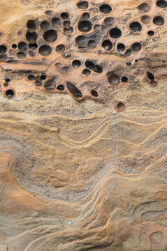 Close up of shallow holes formed by boring clams and weathered sandstone at beach in Olympic National Park in Washington Coast
