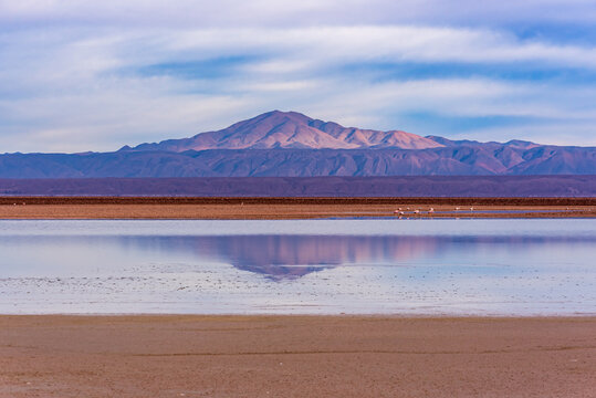 Panorama of volcano reflecting at Chaxa lagoon in Atacama desert