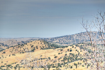 California dry landscape