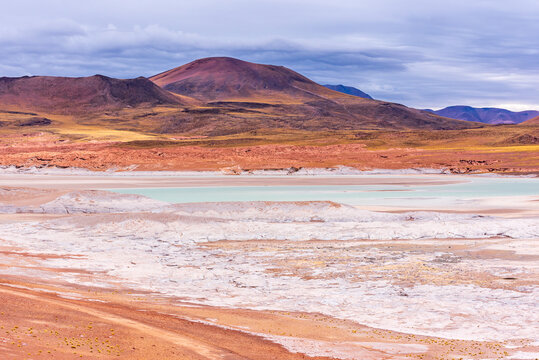 Frozen lagoon in Piedras rojas park in Atacama desert