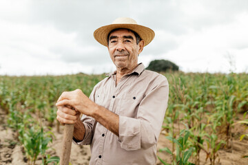 A Brazilian farmer standing tall in a vibrant cornfield, embodying the spirit of rural life.