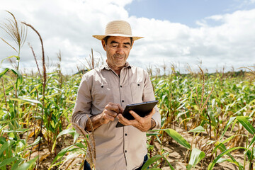 Technology of modern agriculture, farmer working on field with digital tablet in agriculture.