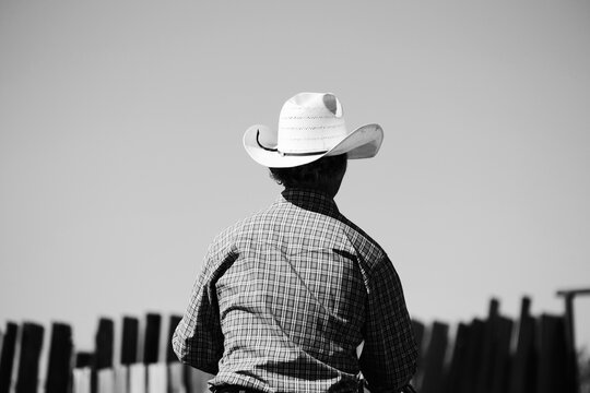 Cowboy during summer looking away for western ranch lifestyle in black and white.