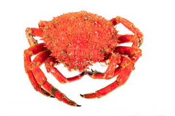 spider crab isolated on white background